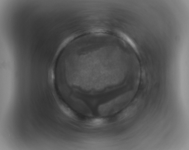 X0000114410059200910231140