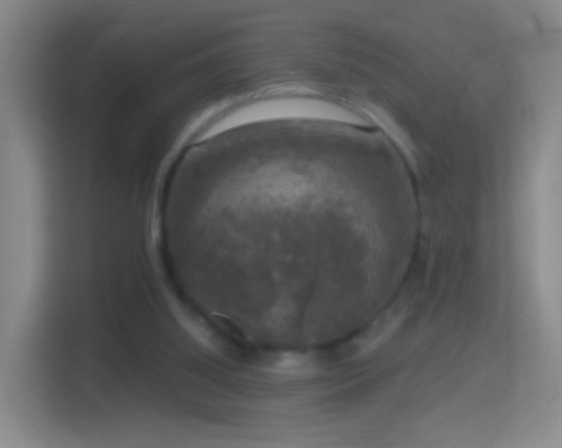 X0000114410060200910231140