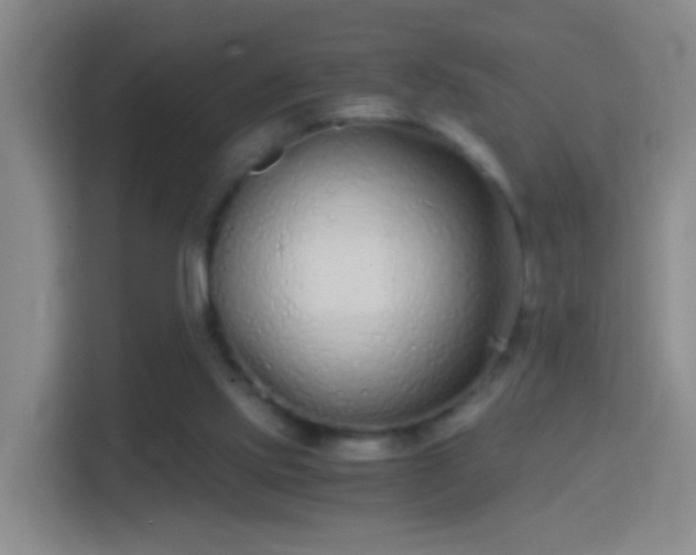X0000114410061200910231140
