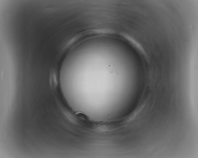 X0000114410062200910231140
