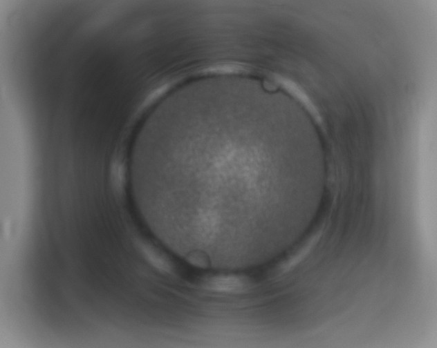 X0000114410063200910231140