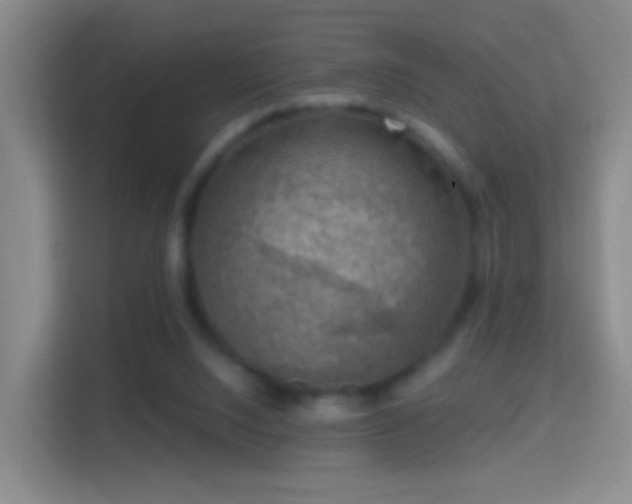 X0000114410064200910231140