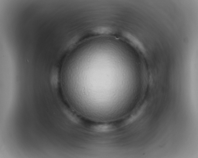 X0000114410065200910231140