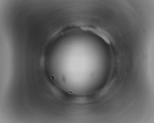 X0000114410066200910231140