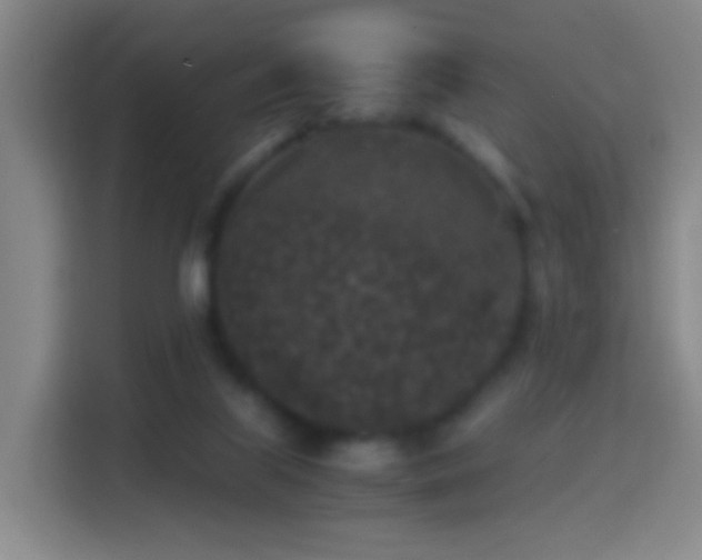 X0000114410067200910231140
