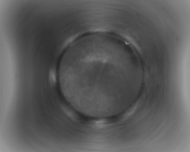 X0000114410068200910231140