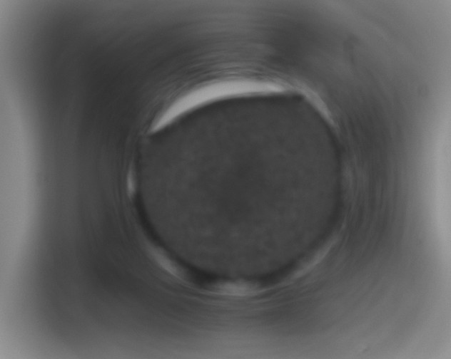 X0000114410069200910231140