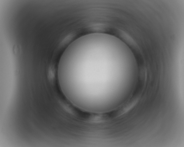 X0000114410072200910231140