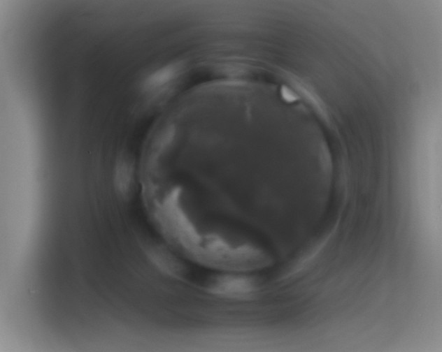 X0000114410073200910231140