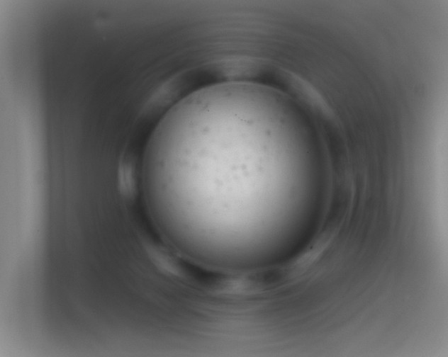 X0000114410074200910231140