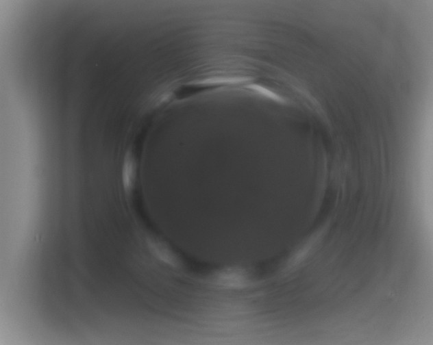 X0000114410076200910231140