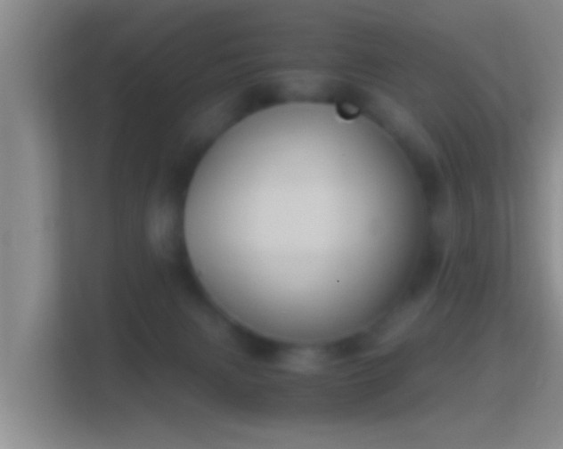 X0000114410079200910231141
