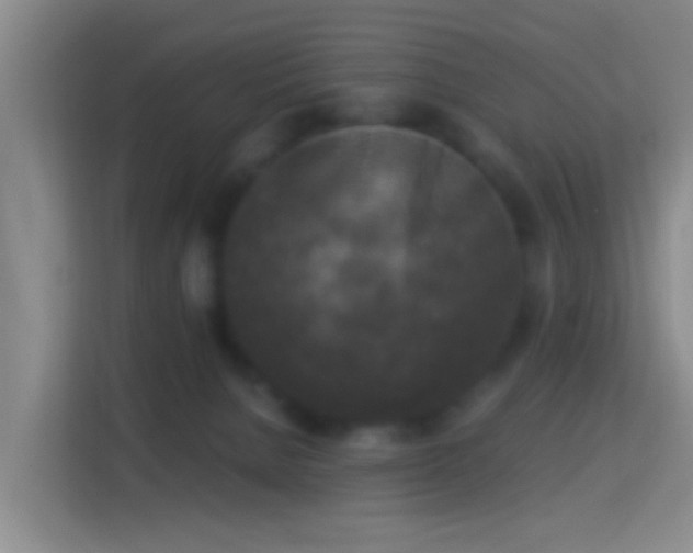 X0000114410080200910231141