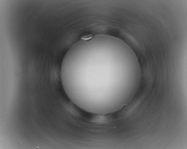 X0000114410083200910231141