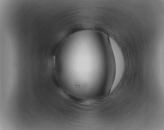 X0000114410084200910231141