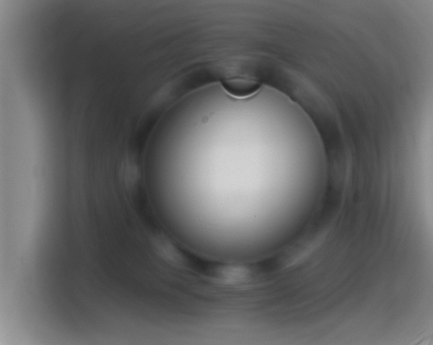 X0000114410085200910231141