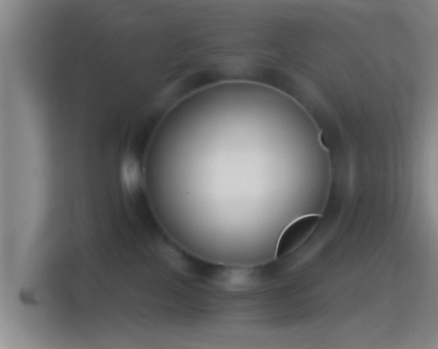 X0000114410089200910231141
