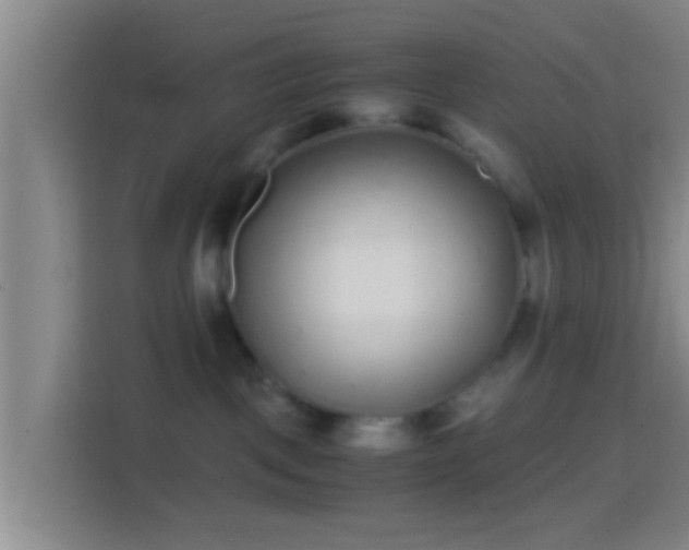 X0000114410093200910231141