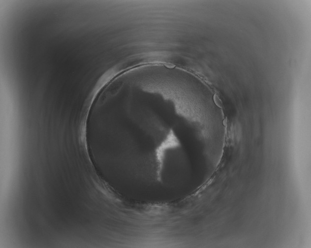 X0000114410099200910231140
