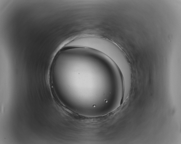 X0000114410100200910231140
