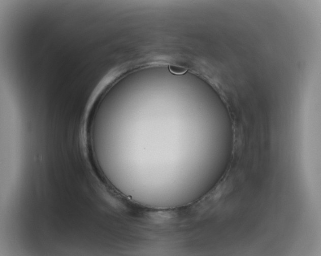 X0000114410102200910231140