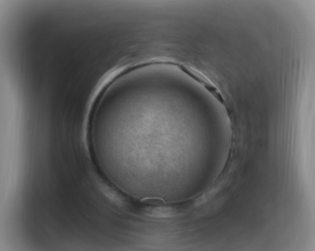 X0000114410104200910231140