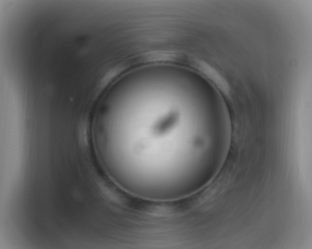X0000114410107200910231140