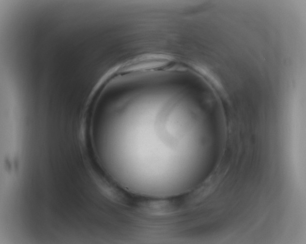 X0000114410108200910231140