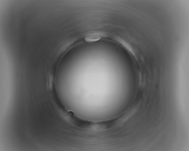 X0000114410109200910231140