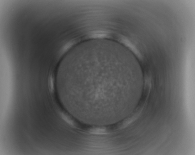X0000114410110200910231140