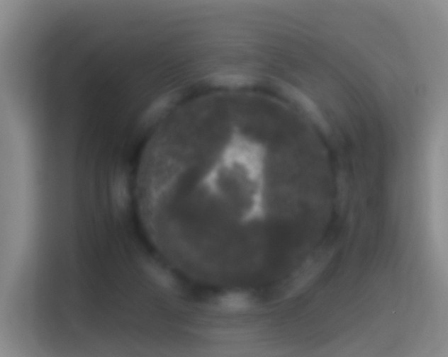 X0000114410114200910231140