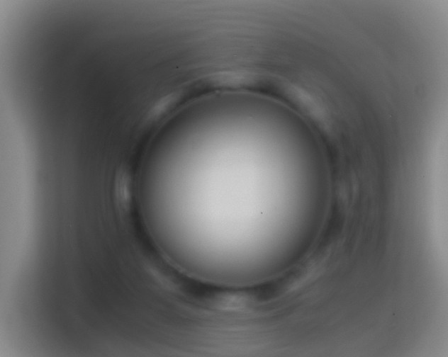 X0000114410115200910231140