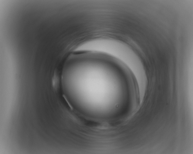 X0000114410124200910231140