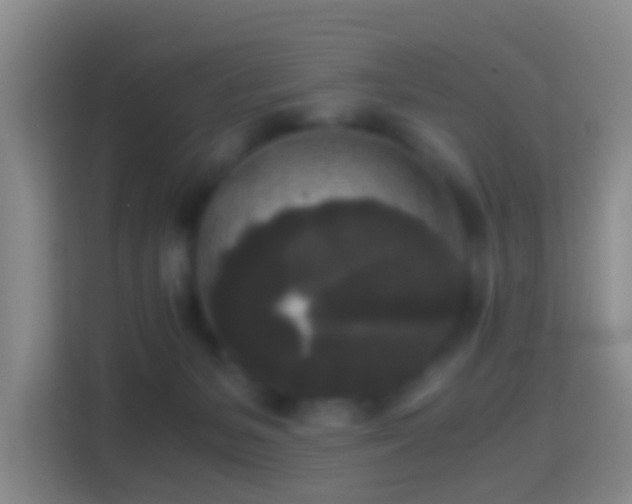 X0000114410127200910231140