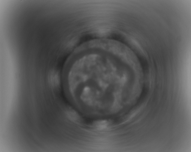 X0000114410131200910231140