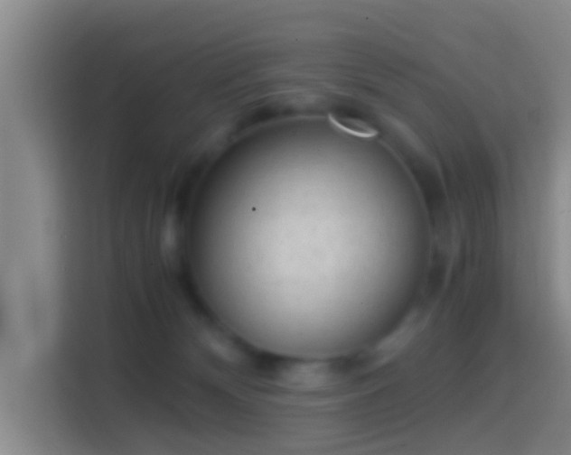 X0000114410132200910231140