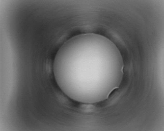 X0000114410133200910231140