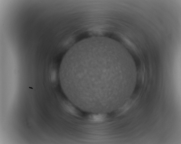 X0000114410134200910231140