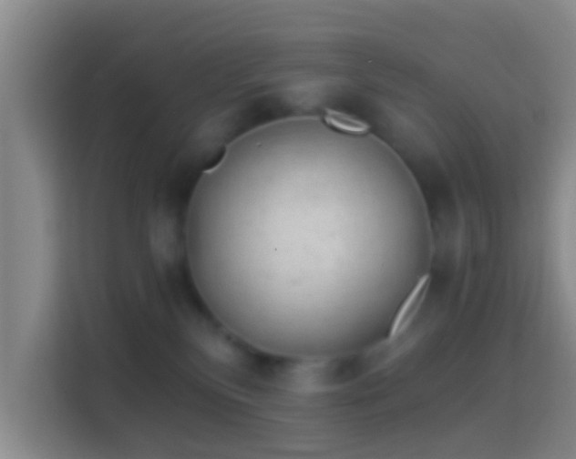 X0000114410136200910231140