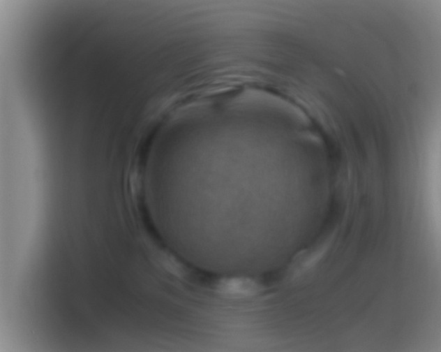 X0000114410137200910231140