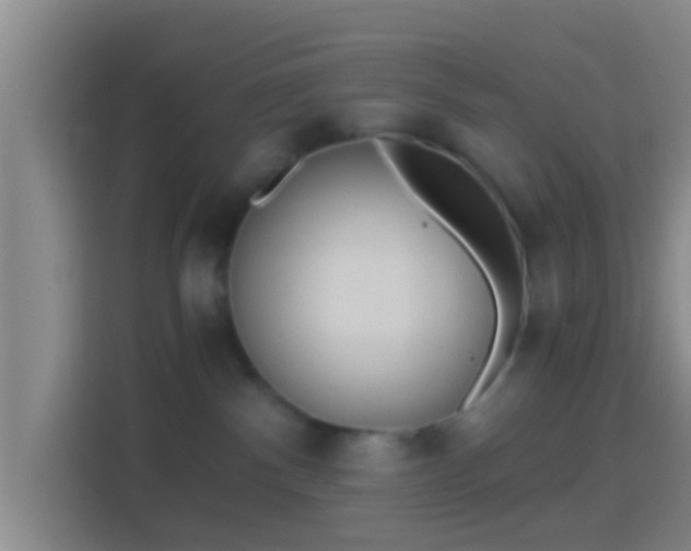 X0000114410140200910231140