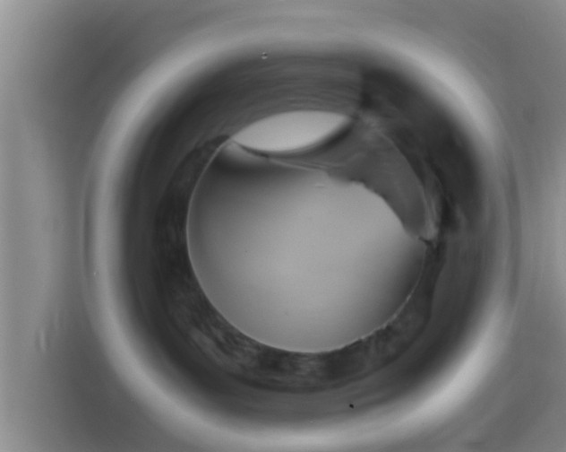 X0000114410143200910231140