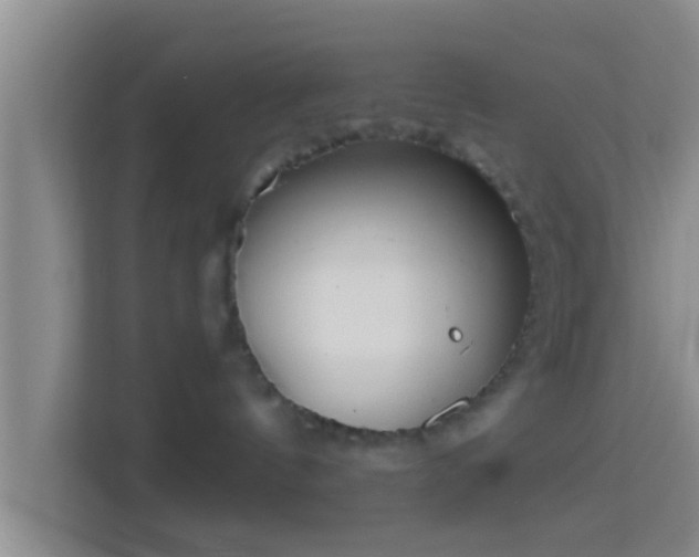 X0000114410144200910231139