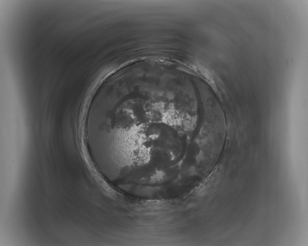 X0000114410145200910231139