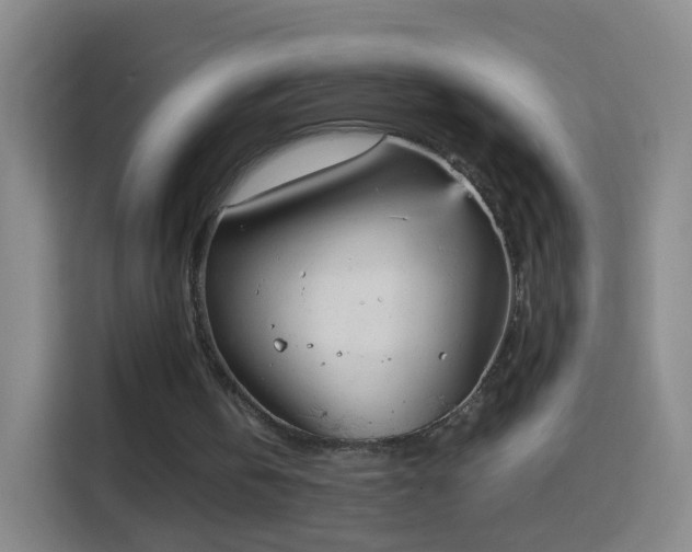 X0000114410146200910231139