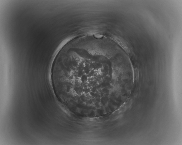 X0000114410147200910231139
