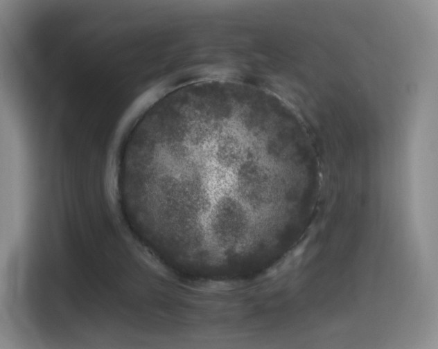 X0000114410149200910231139