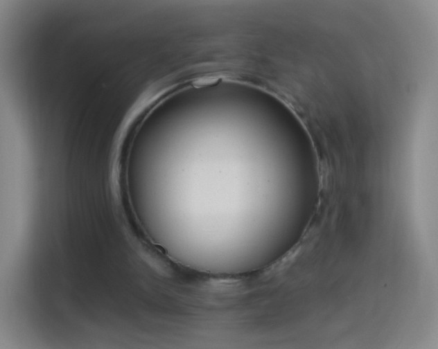 X0000114410150200910231139