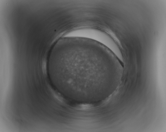 X0000114410154200910231139