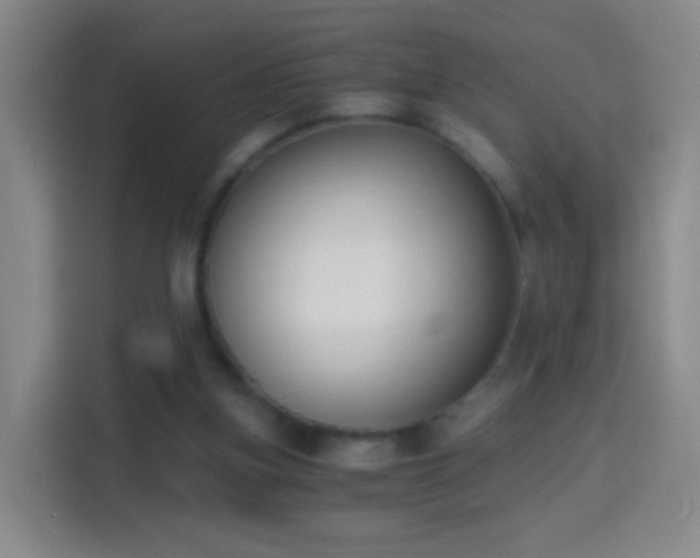 X0000114410155200910231139